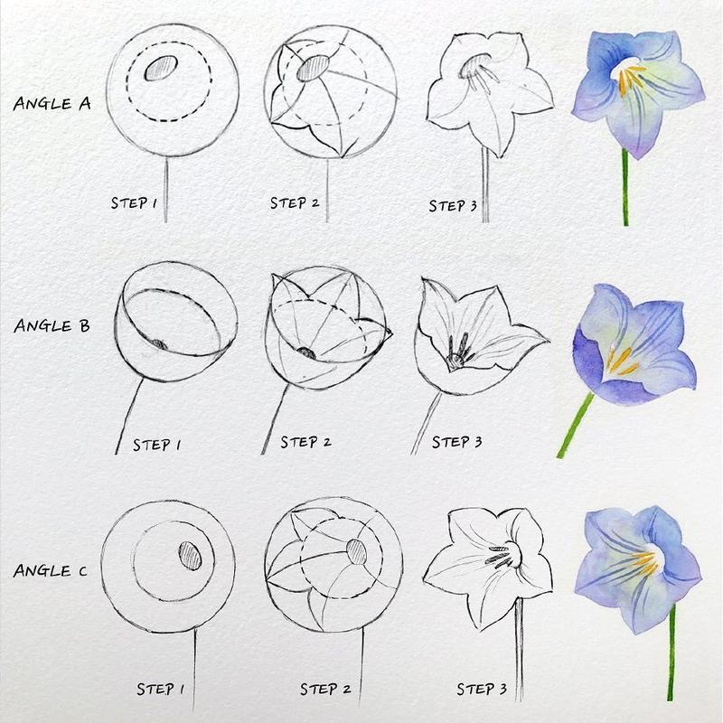 10种水彩花卉的分步画法,收藏起来