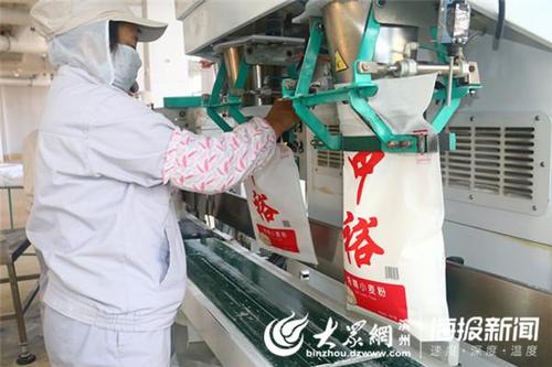 滨州中裕食品有限公司员工正在进行面粉加工