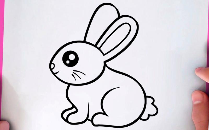 【简笔画】教你如何画一只可爱的兔子~超级简单,一看就会!