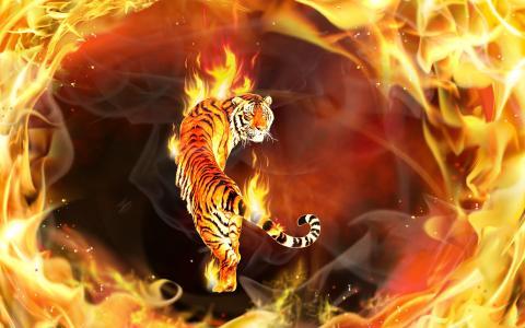 3d,火,火焰,猫,老虎,photoshop