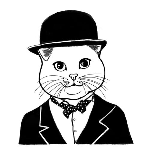 世界阅读日:你好!书店里的猫先生