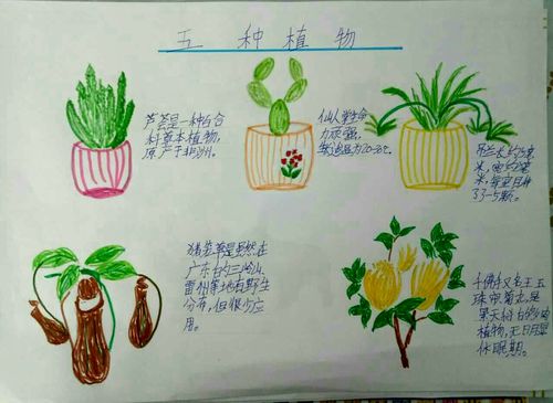 正蓝旗直属第二小学三年级118班假期自主作业(二)——新认识5种植物