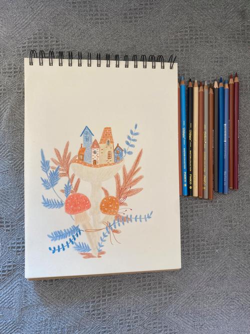 蘑菇小房子彩铅画day30