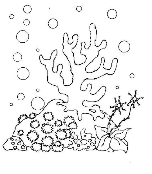 珊瑚简笔画珊瑚简笔画彩色
