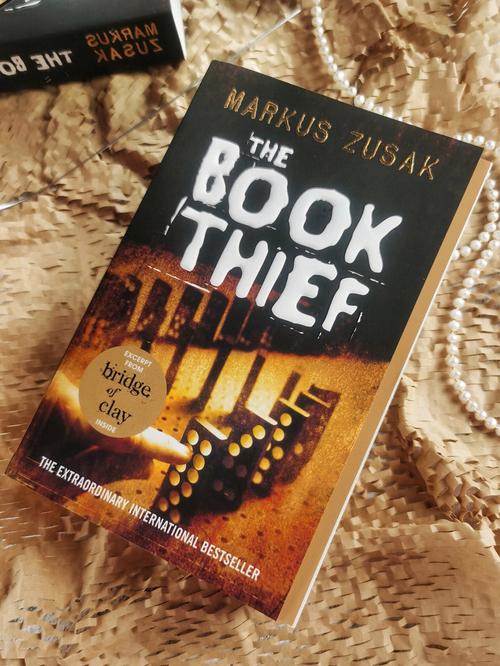 这次,小阁带来的是感动无数读者的《偷书贼》(the book thief).