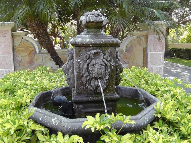喷泉,水,狮子