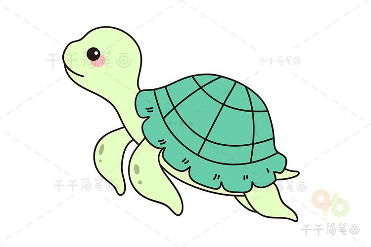 教你画海龟简笔画