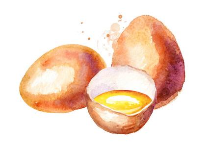 鸡蛋组成.水彩手绘插图, 在白色背景下隔离照片