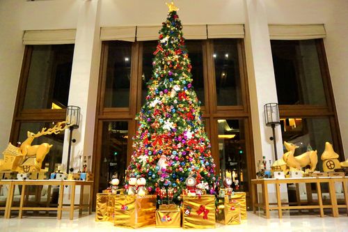 糖果,唱诗,圣诞树……丽江丽朗酒店圣诞点灯温馨上演