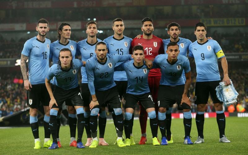 乌拉圭国家男子足球队2022世界杯阵容公布