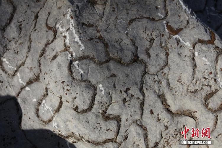 四川长宁新发现地下数亿年"豹皮纹灰岩"