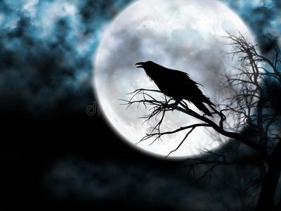 夜空中的乌鸦照片