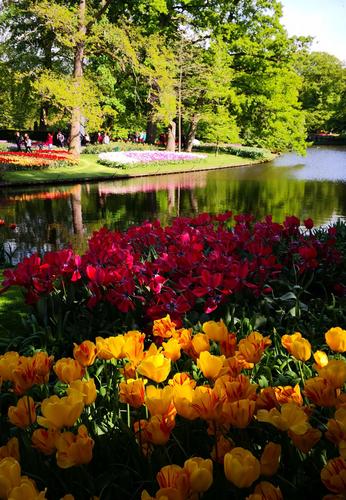 葫芦的美篇荷兰慢游~阿姆斯特丹郁金香花园