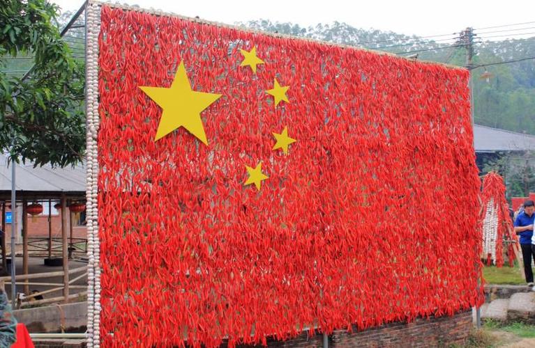 五星红旗照耀大地我们展示惠州农业发展成果祝福丰收,献礼祖国稻田里