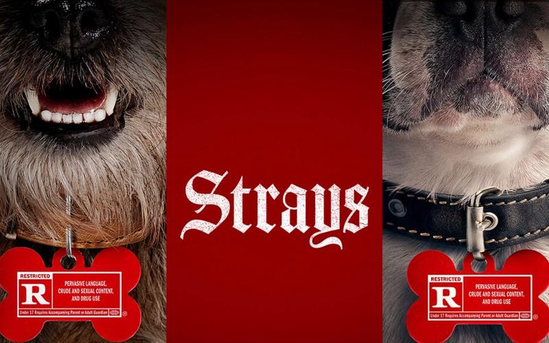 strays《流浪狗》-当一只被无情遗弃的小狗遇到一群满嘴骚话的流浪狗