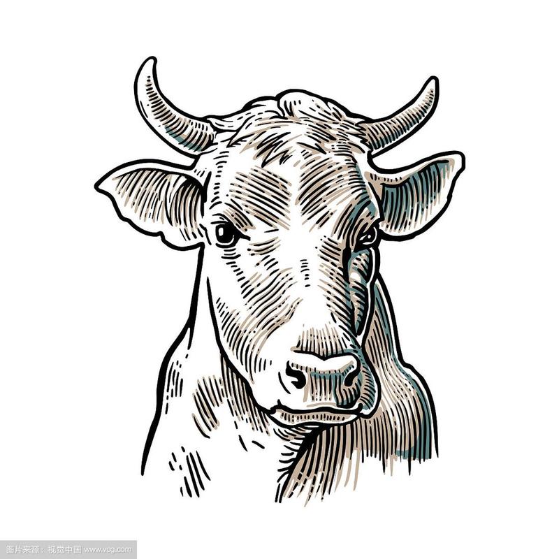 牛头手绘在图形风格vintage