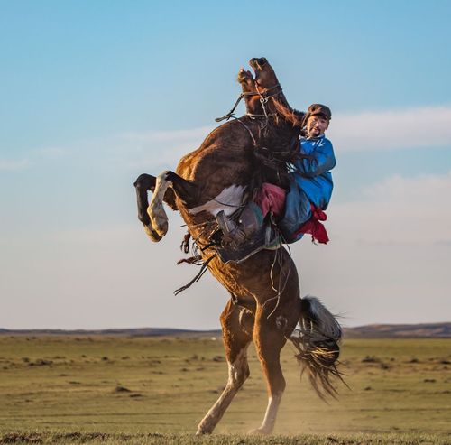 凤凰马场的蒙古族骑手