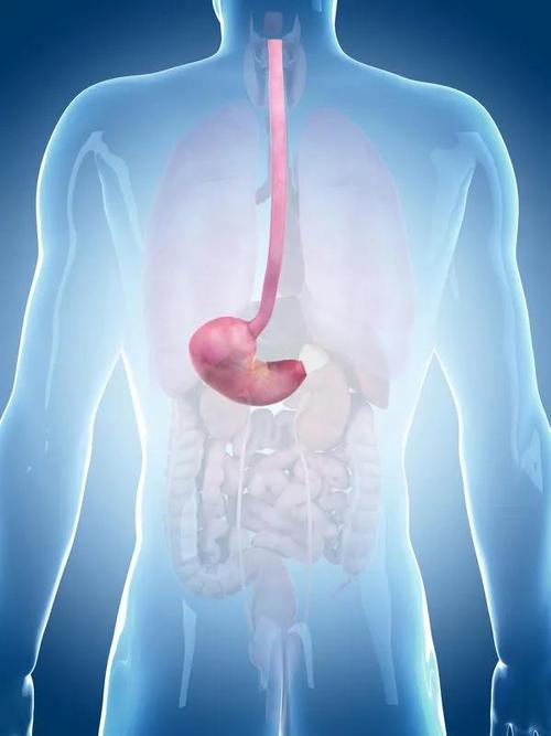因为胃镜肯定会经过食管的,做胃镜的时候能看食管也能看胃.