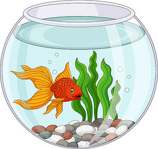 卡通金鱼在鱼缸里游泳