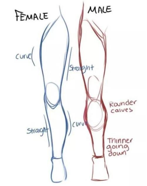 漫画人物大长腿又怎么画教你如何画出一双性感的美腿