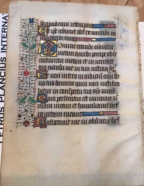 本稿由手工书写制作独∥中世纪文字拉丁文图片拉丁文字中世纪字母