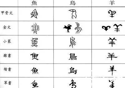 汉字演变的示意图汉字经过存废之争.