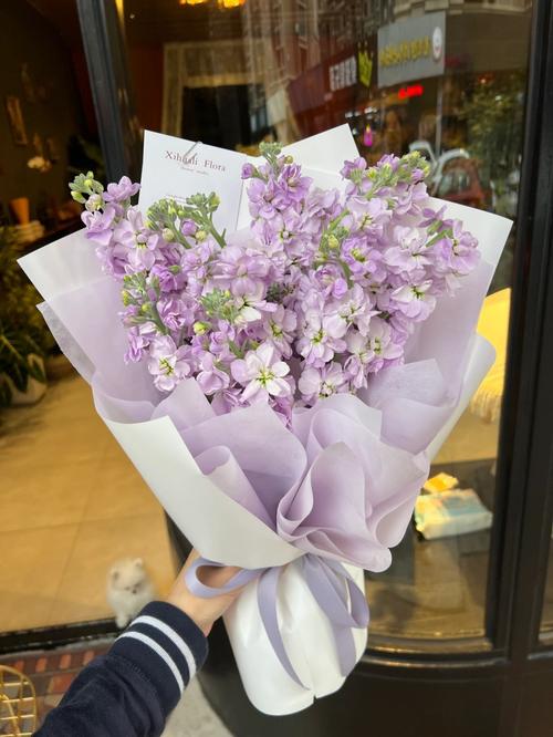 香喷喷的紫罗兰花束 |沈阳花店