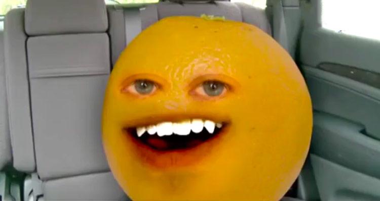 烦人的橙子:看完牙医后,橙子居然安静了很多!