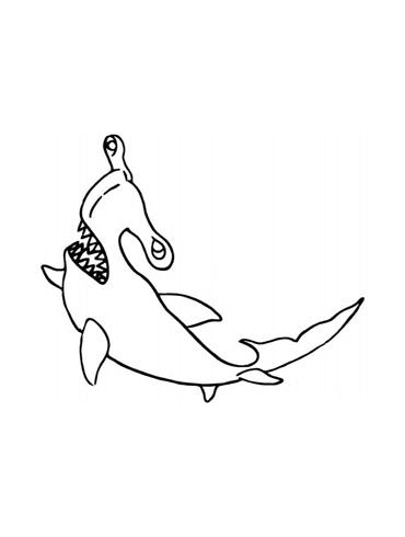 双髻鲨锤头鲨简笔画图片教你怎么画双髻鲨锤头鲨海洋简笔画图片