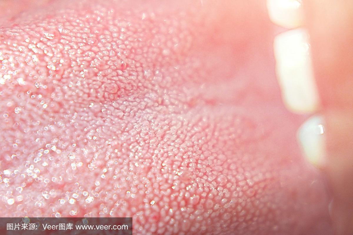 极度靠近人类的舌头,可以看到味蕾的细节