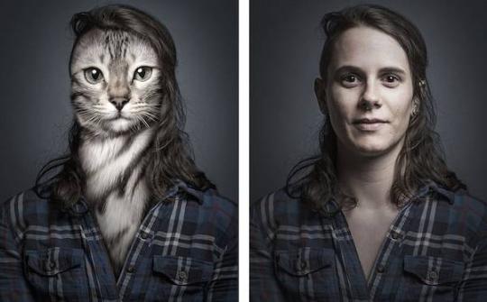 瑞士艺术家猫脸人身图趣味十足图