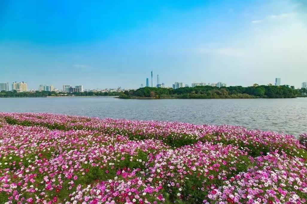 广州公园排行榜广州10大必玩公园