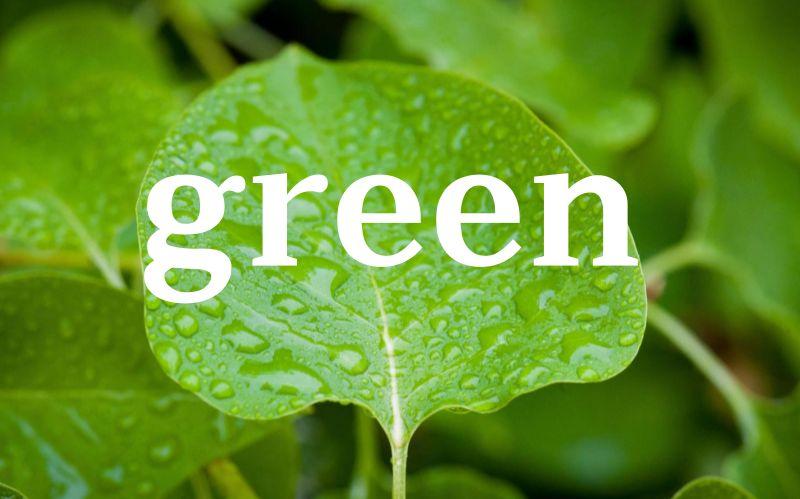 与绿色green相关的有趣的英文表达你知道吗