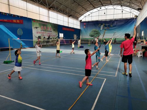 衡阳市青少年运动智能发展中心 麒麟体育羽毛球培训班招生 - 美篇