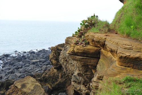 硇洲岛游记之火山岩