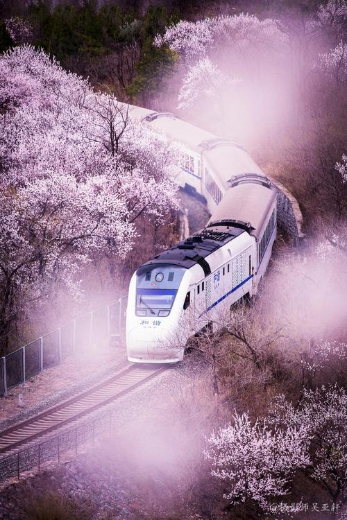 开往春天的列车,带我走向何方?