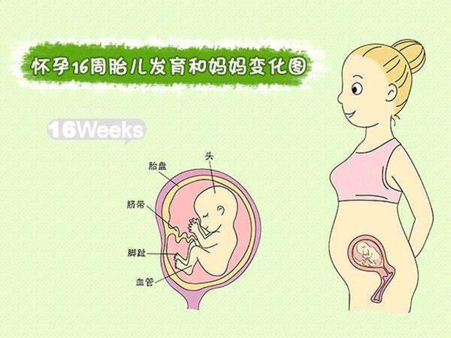 怀孕四个月,为什么吃一点东西就肚子胀?