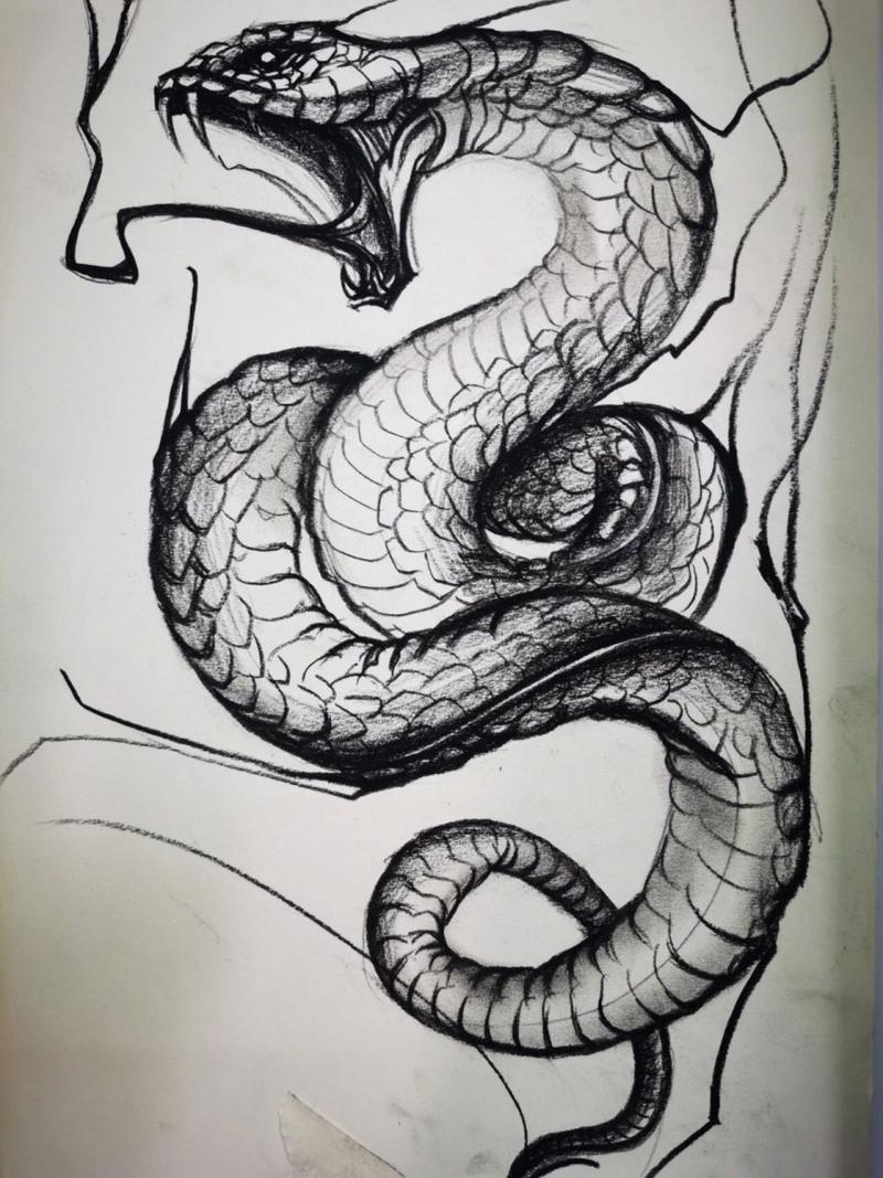 蛇 素描 速写 创意美术 绘画 画画 手绘动漫