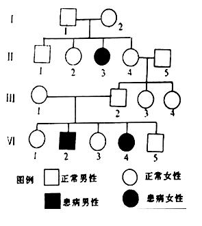 人类遗传家族遗传图解,Ⅰ～Ⅳ表示第几代,若相关的显,隐性基因分别用r