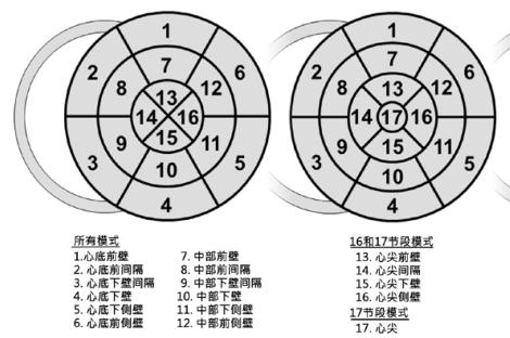 心尖段 4 个节段( 13-16 段)与 16 节段划分法相同,即前壁,室间隔,下