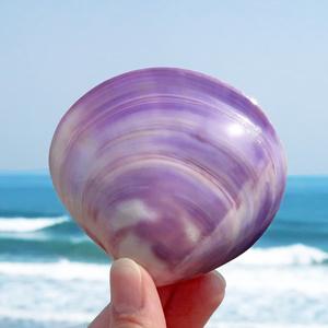 30韩尚元素服饰淘宝天然贝壳海螺紫色扇贝紫蛤扇形贝鱼缸水族造景