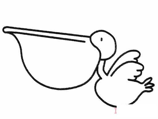卡通鹈鹕怎么画简单好看 鹈鹕的画法简笔画图片