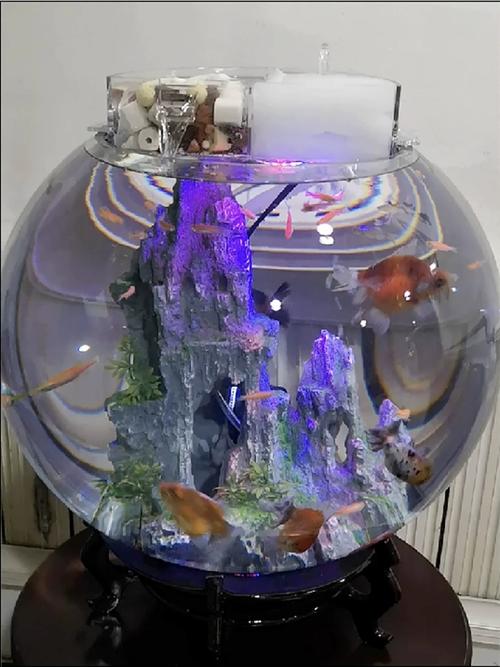 50cm大号加厚圆形免换水一体玻璃鱼缸特大号客厅透明大圆缸金鱼缸