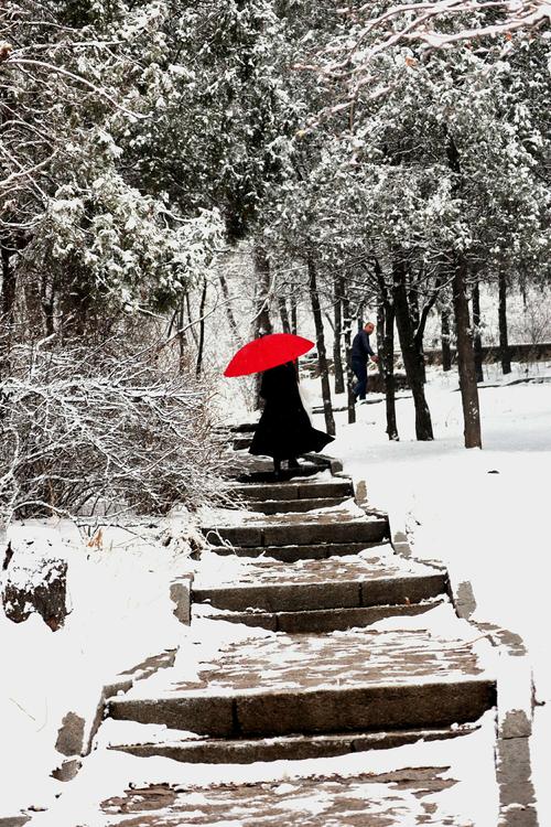 春雪之中的红雨伞