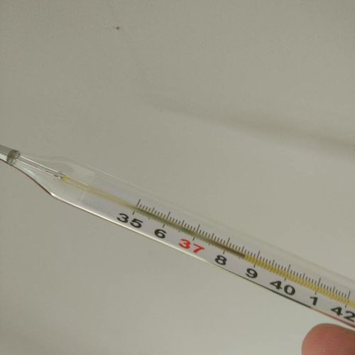 今天看着这根每天如实监测我体温的温度计,再次想