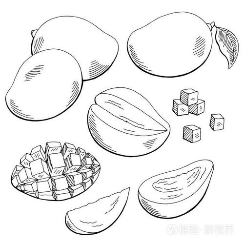 芒果果实图形黑色白色孤立的素描图矢量插画-正版商用图片0tyfu7-摄图