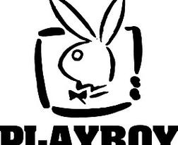 playboy 2 logo设计欣赏 花花公子2标志设计欣赏