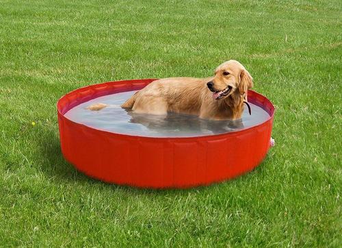 outdoor foldable pet dog paddling pool swimming bathing washer