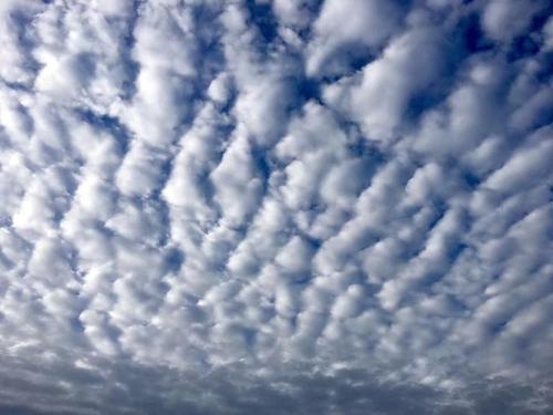 申城出现美丽"高积云",除了它还有哪些美丽的云?