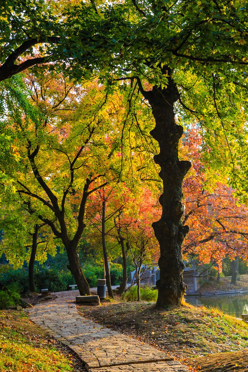 9月不可错过的这15处初秋美景领略中国最美的秋色美得不像话